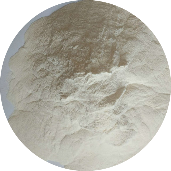 Xanthan Gum